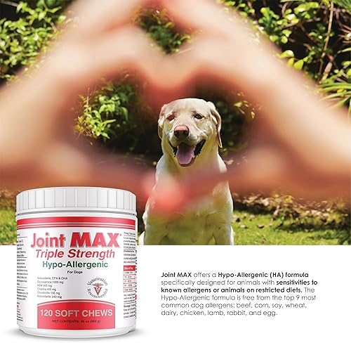 Miniatura 5 de Triple Strength Hipoalergénico Suave Masticables para Perros  Suplemento de Apoyo de Cadera y Articulación con Glucosamina, Condroitina y MSM  Hecho