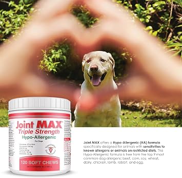 Triple Strength Hypo-Allergenic Soft Chews for Dogs - Hip and Joint Support Supplement with Glucosamine, Chondroitin, MSM - Made in The USA - 120 Soft Chews