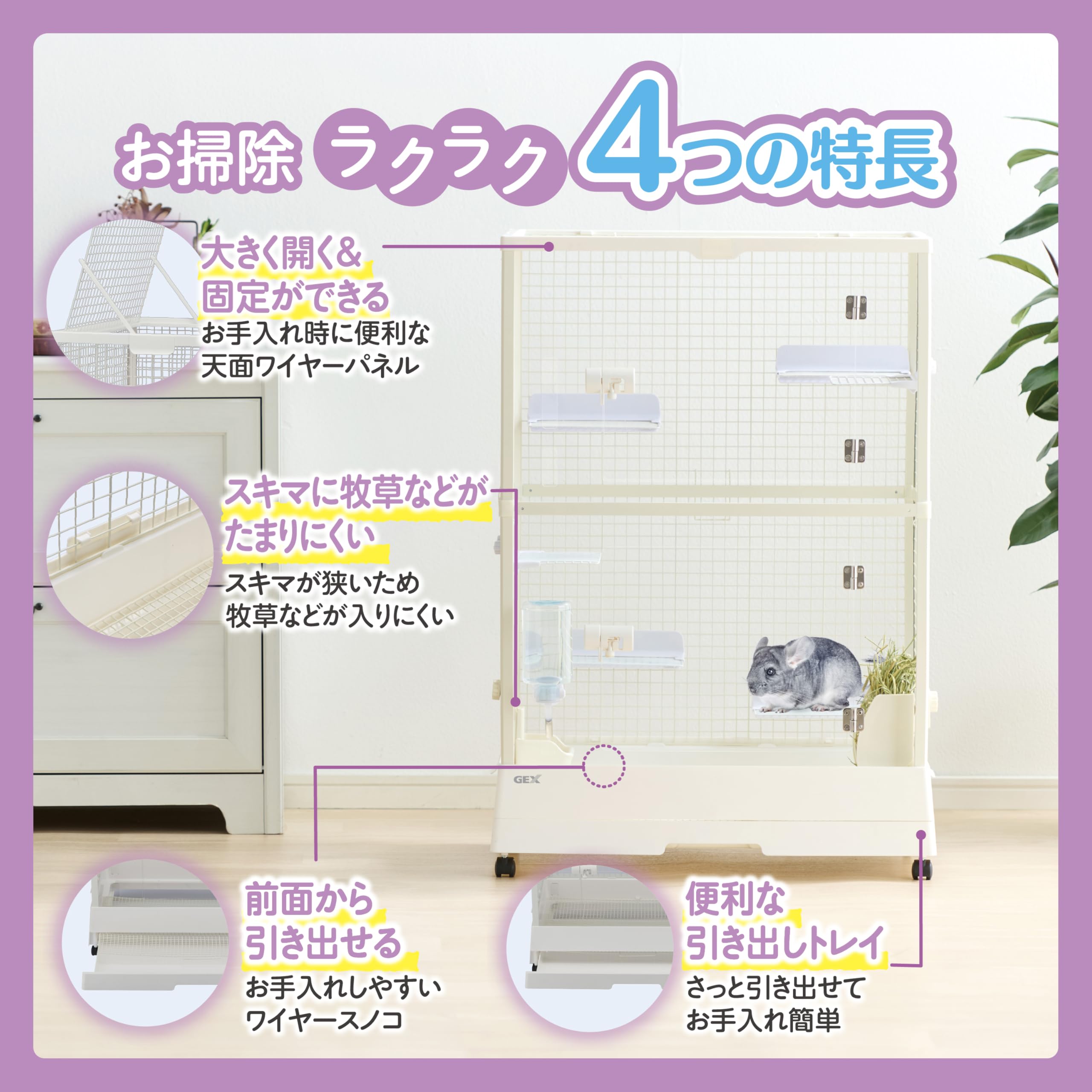 Amazon | ジェックス GEX クリアフロント70 ハイタイプ クリアな 
