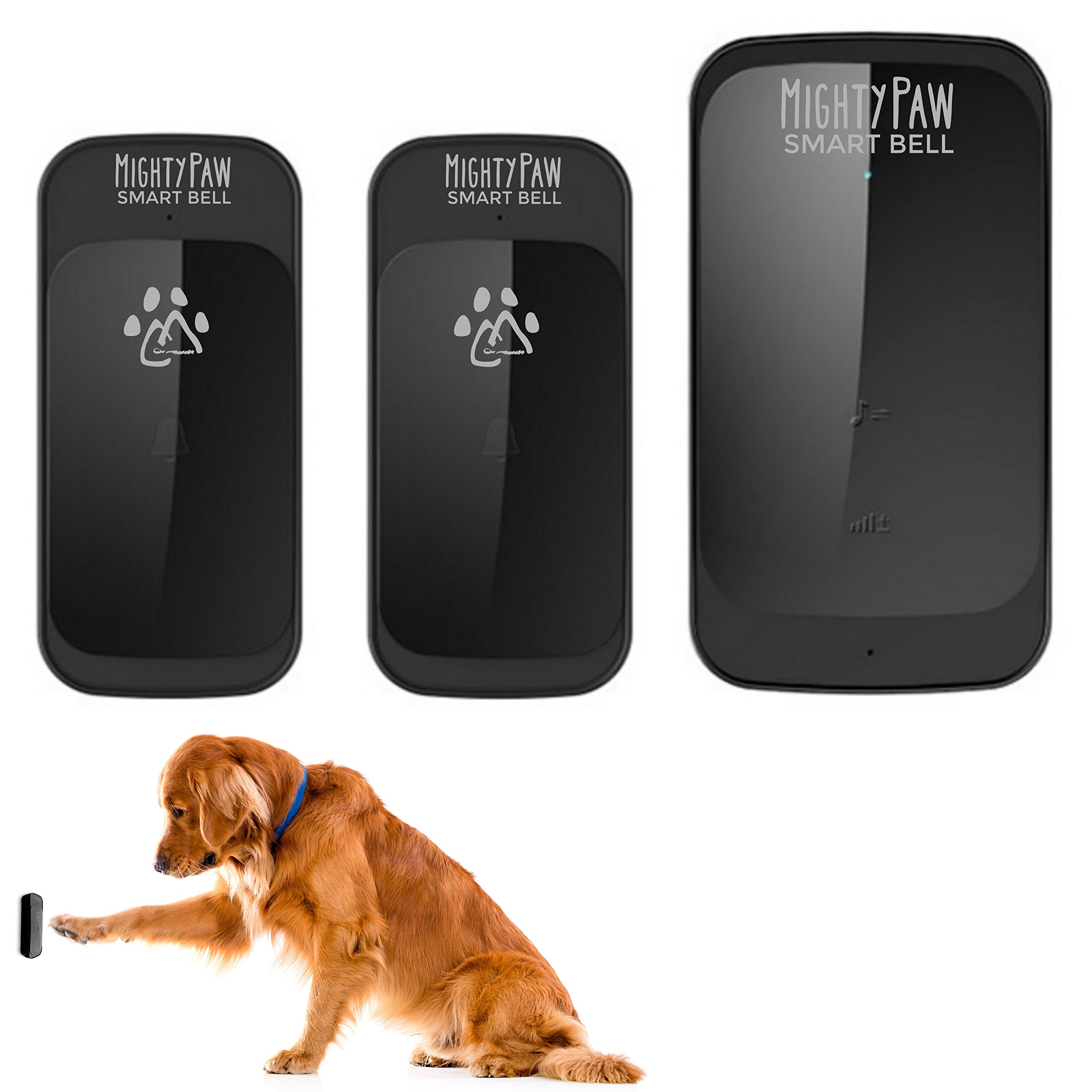 smart bell for dogs