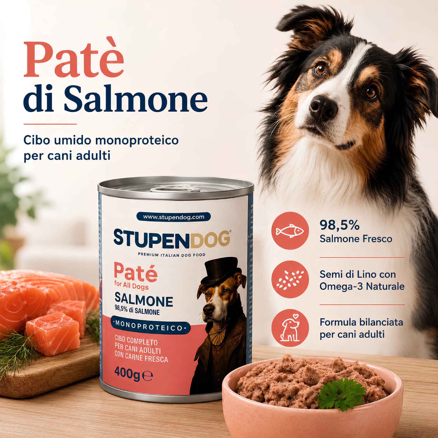 STUPENDOG Paté per Cani Monoproteico al Salmone con Semi di Lino - 98,5% Salmone Fresco, Ipoallergenico, Pelo Lucido, Pelle Sana – Cibo Umido Naturale per Cane Adulto (12 Confezioni - 400g)