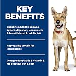 Hill's Science Diet Adult Chicken & Barley Entrée Wet Dog Food 12 x 370 g Can