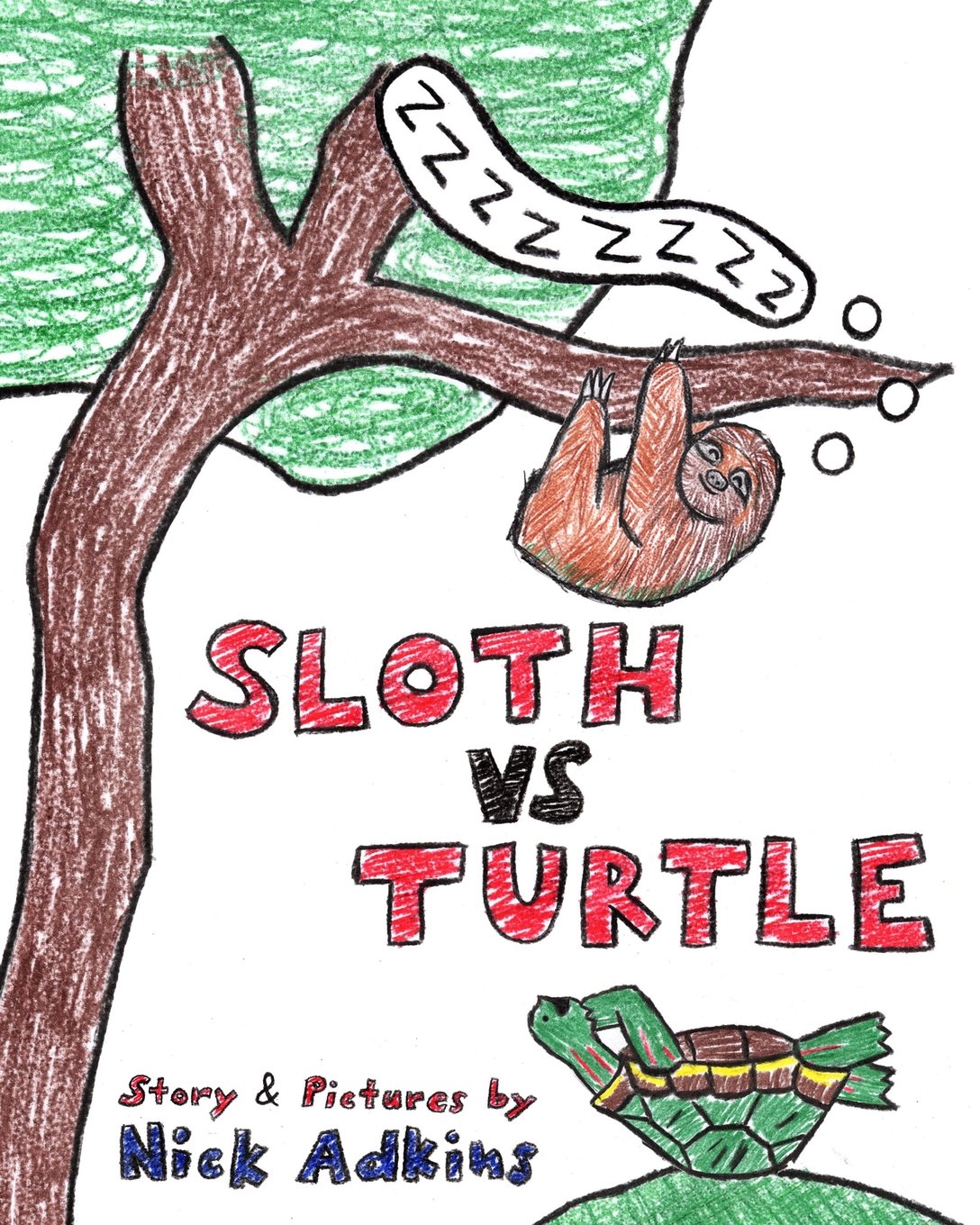 Sloth Vs Turtle