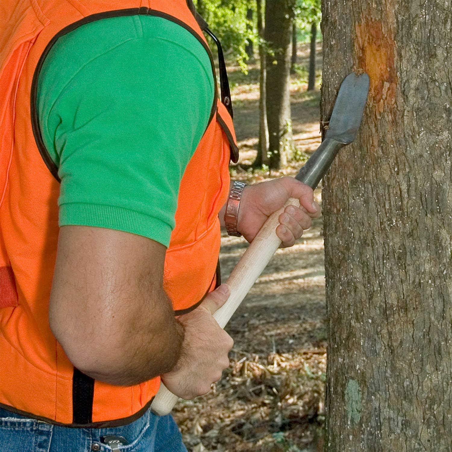 Wood Gouge Bark Spud