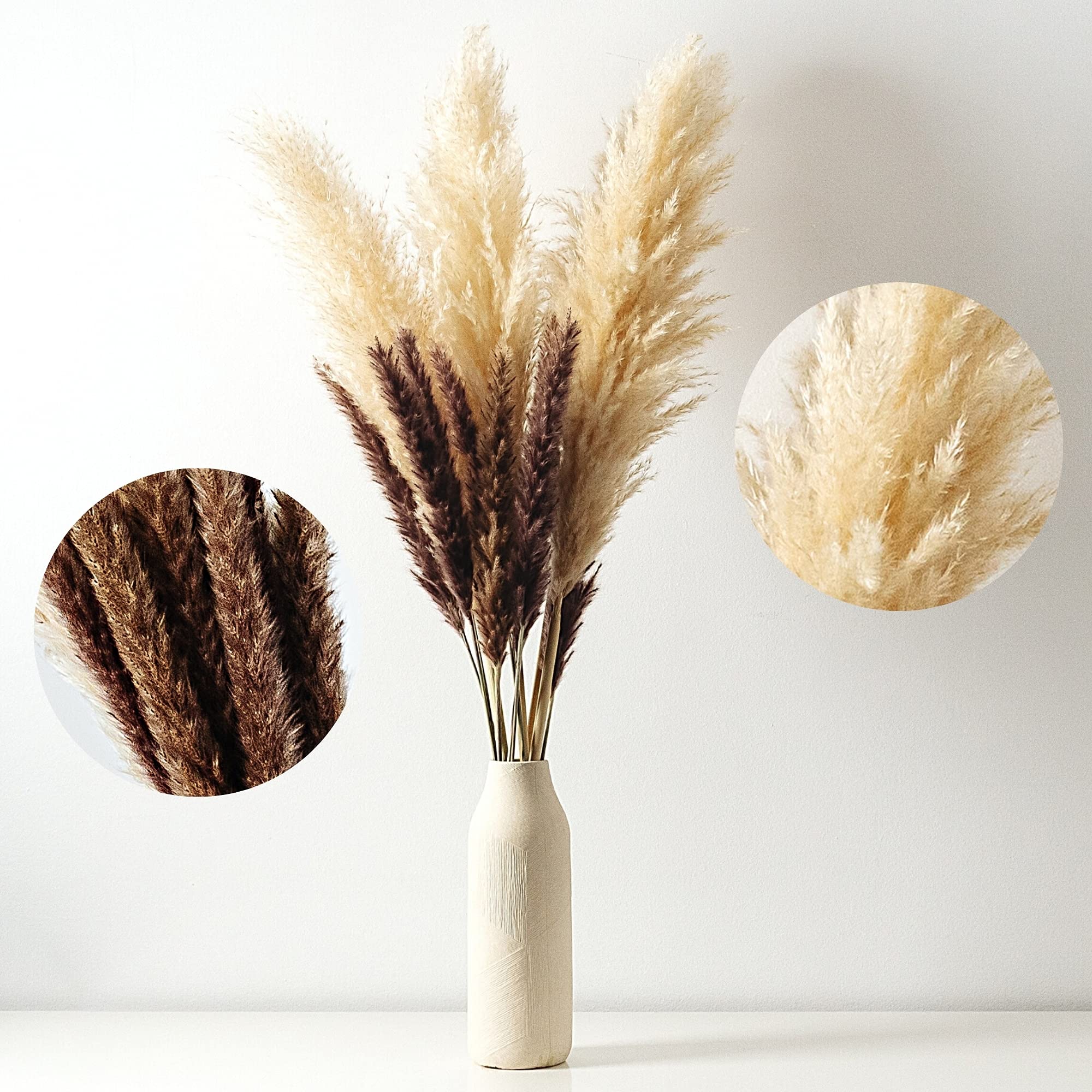 Buy Dried Pampas Grass Decor Tall Total 15 Stems 3 Stems 41” Beige