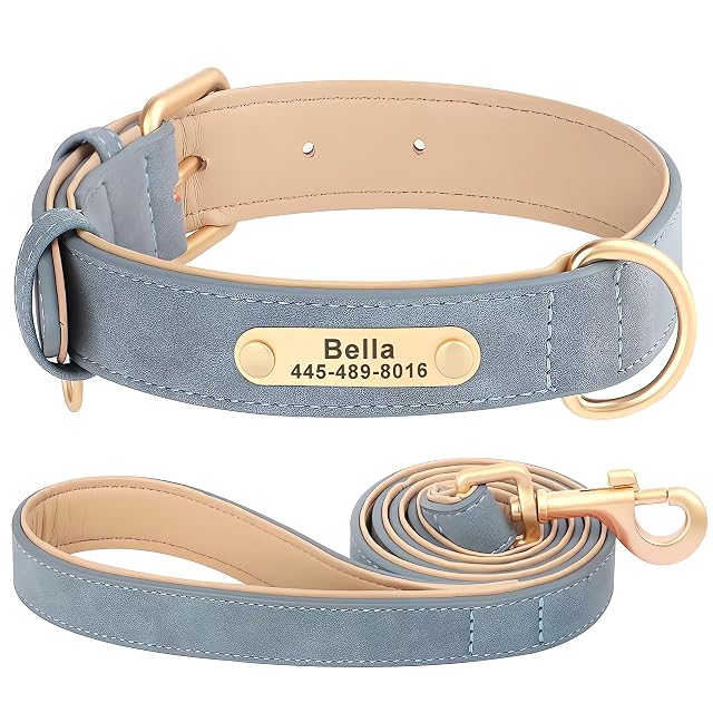 SEOUGEE Juego de collar y correa de cuero personalizado para perro