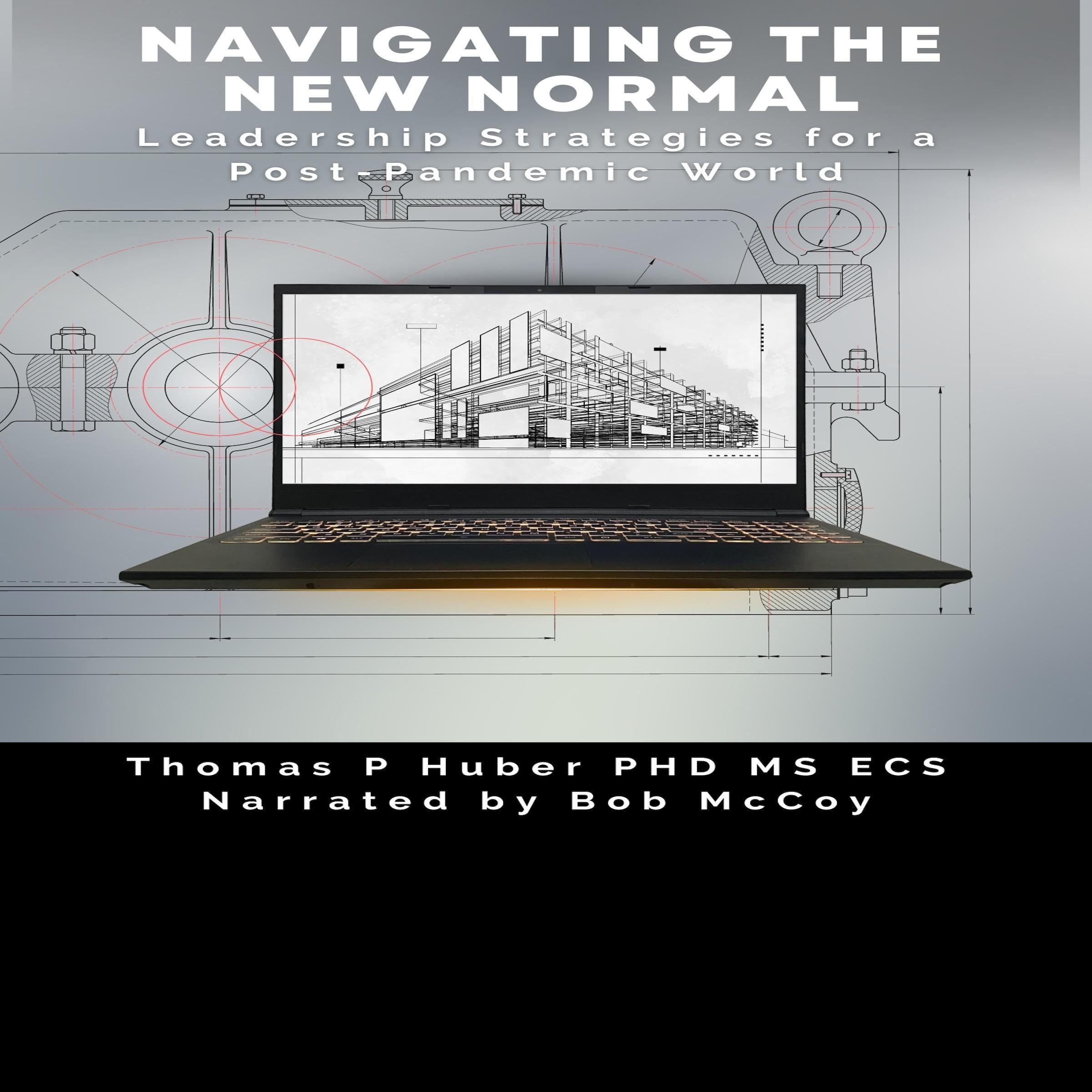 Cover art for Navigating the New Normal
