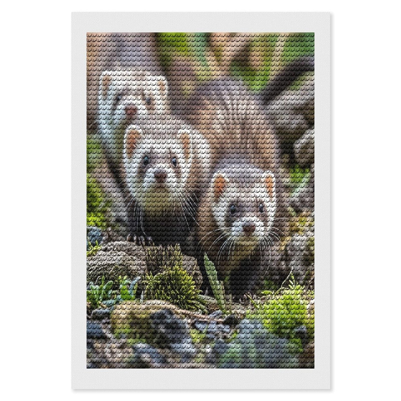 FekiLoot Ferrets Diamond Painting Kits for Adults Full Round Drill Diamond Art Kits for Beginners 5D DIY Diamond Dots Paintings Diamonds Pictures Gem Art Home Wall Decor 8"x12"