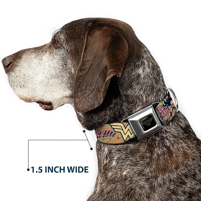 Foto 7 de 8 de Buckle-Down Collar de Perro Wonder Woman Strength & Power de 15 a 26 Pulgadas, Grande
