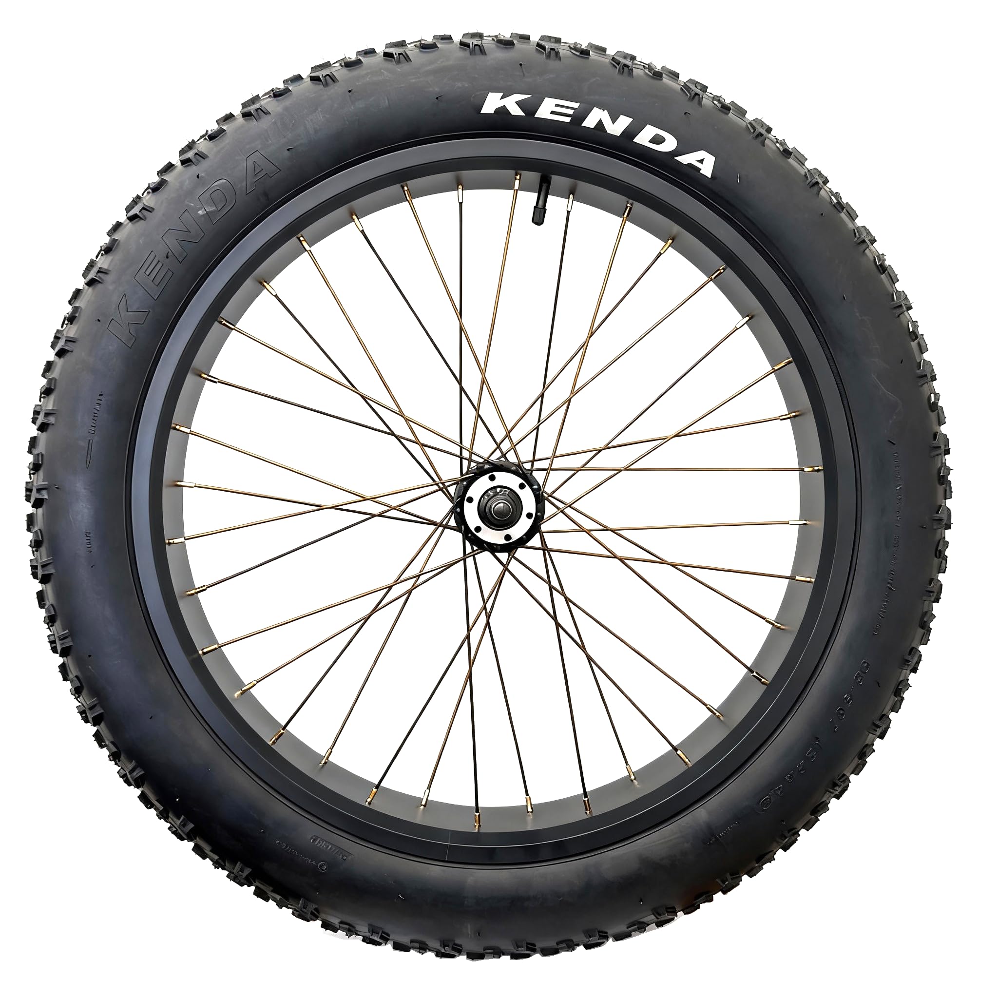 Amazon | 電動ファットバイクフロントホイール 24インチ x 4.0インチ