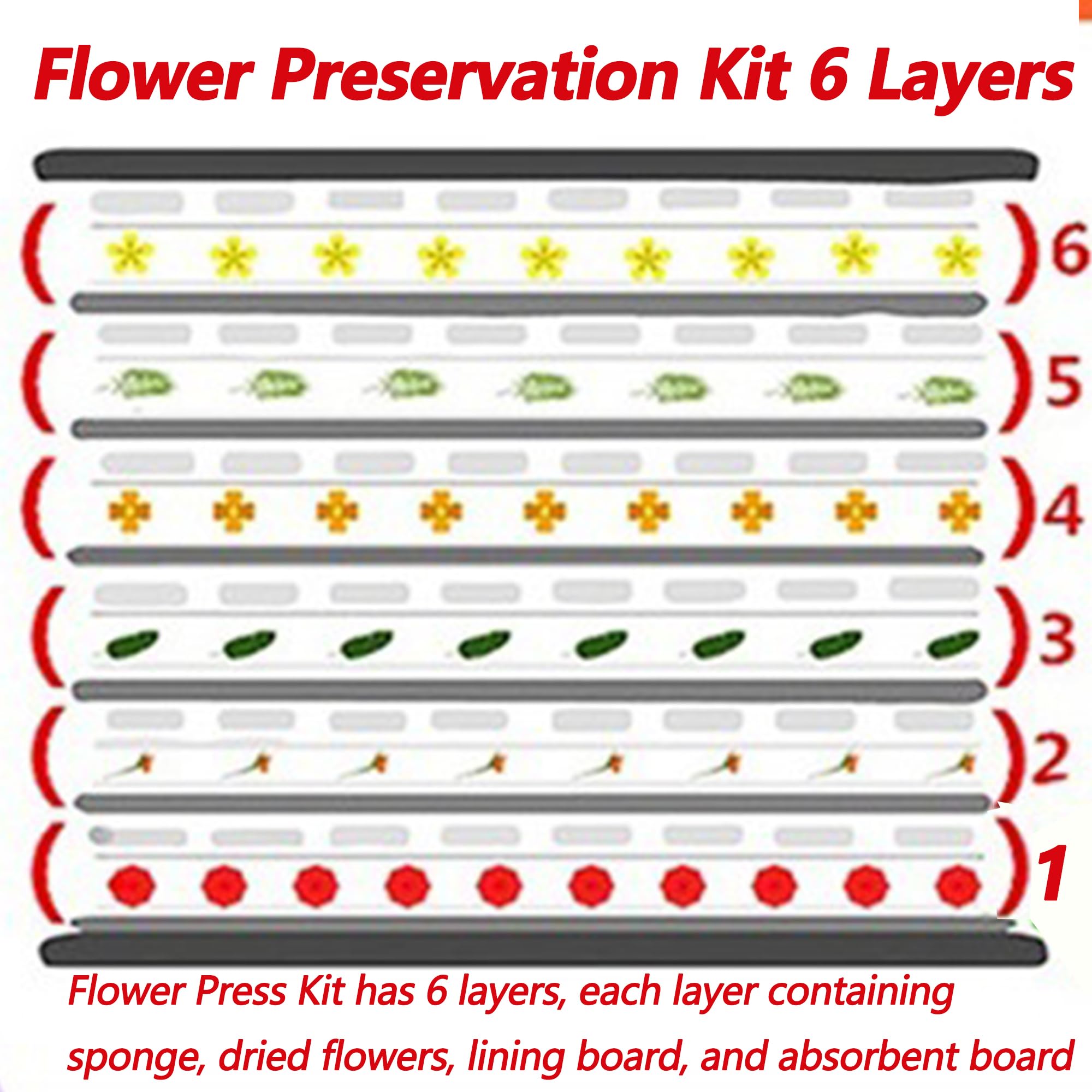 QSLKI Kit in Legno Per Pressatura Fiori, Piante e Foglie - 15x21cm Con 6 Strati Per Adulti e Bambini - Perfetto Per Arti e Mestieri