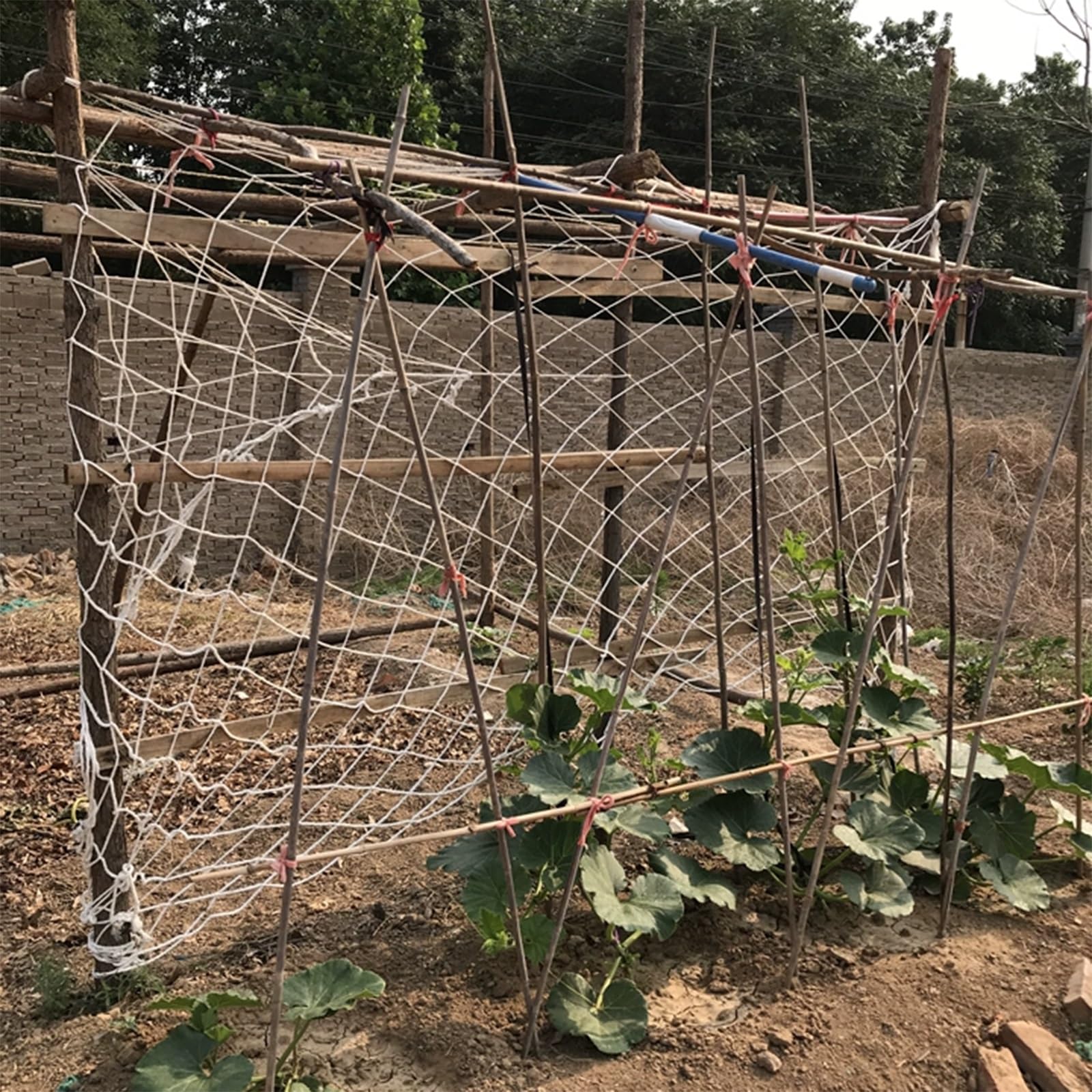 SHAARI Pflanzenkletternetze, Nylonmaterial, VerschleißFest, Uv-BestäNdig Geeignet für GartenstüTzen Seilnetz-ZäUne(5cm mesh,1x10m)
