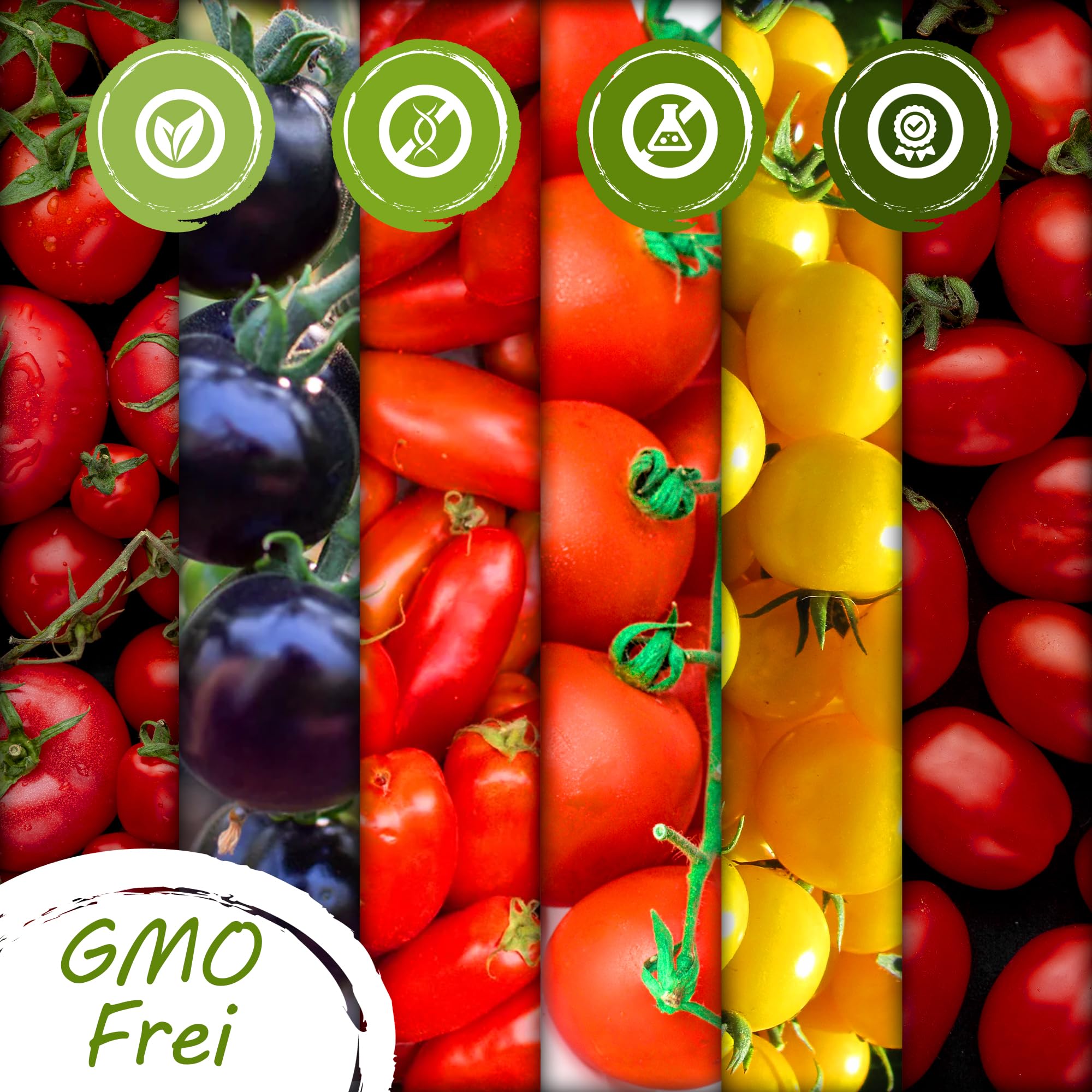 Gemüse Samen Set 61 Premium Sorten Gemüse, Saatgut für Gewächshaus, Garten, Balkon, Küche, Hochbeet, verschiedene Tomatensorten, Kohl, Zucchini, Erdbeere, Anzuchtset Samen Gemüse Pflanzen