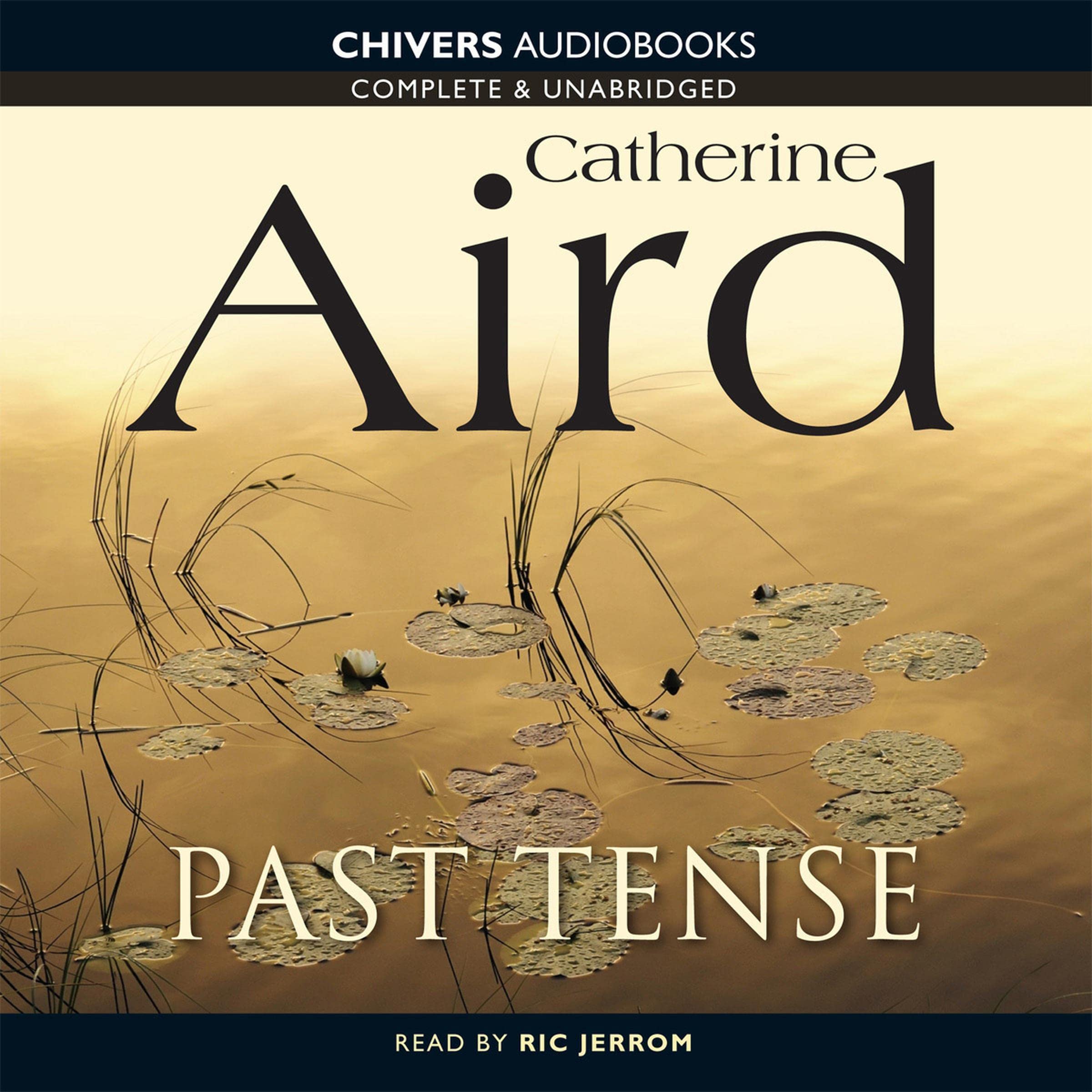 Cover art for Past Tense