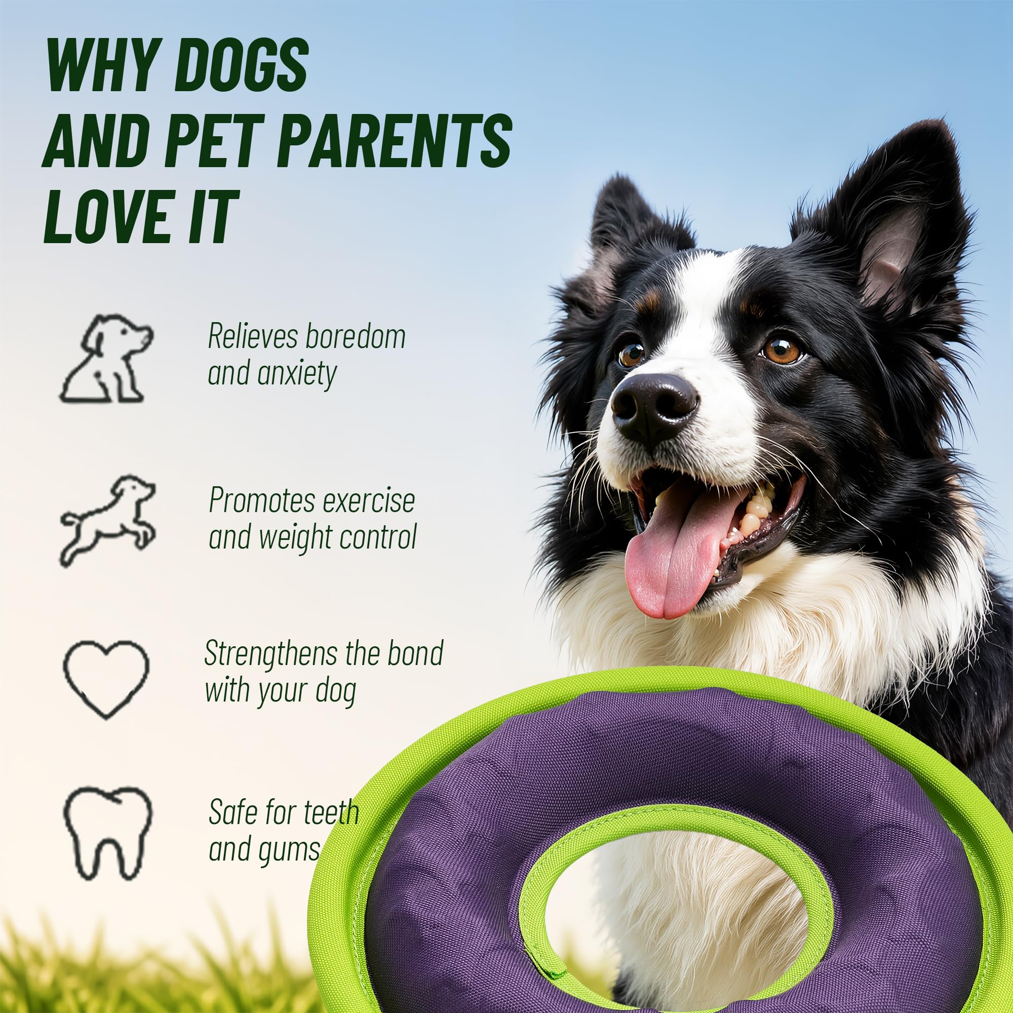 Lot de 3 disques volants pour chien, jouets interactifs pour chien, jouets à attraper et à rapporter pour chiens de petite, moyenne et grande taille, flottent dans l'eau et sans danger pour