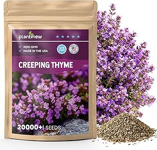 25000pcs Creeping Thyme Seeds for Planting – Non-GMO Ground Cover Flower...
