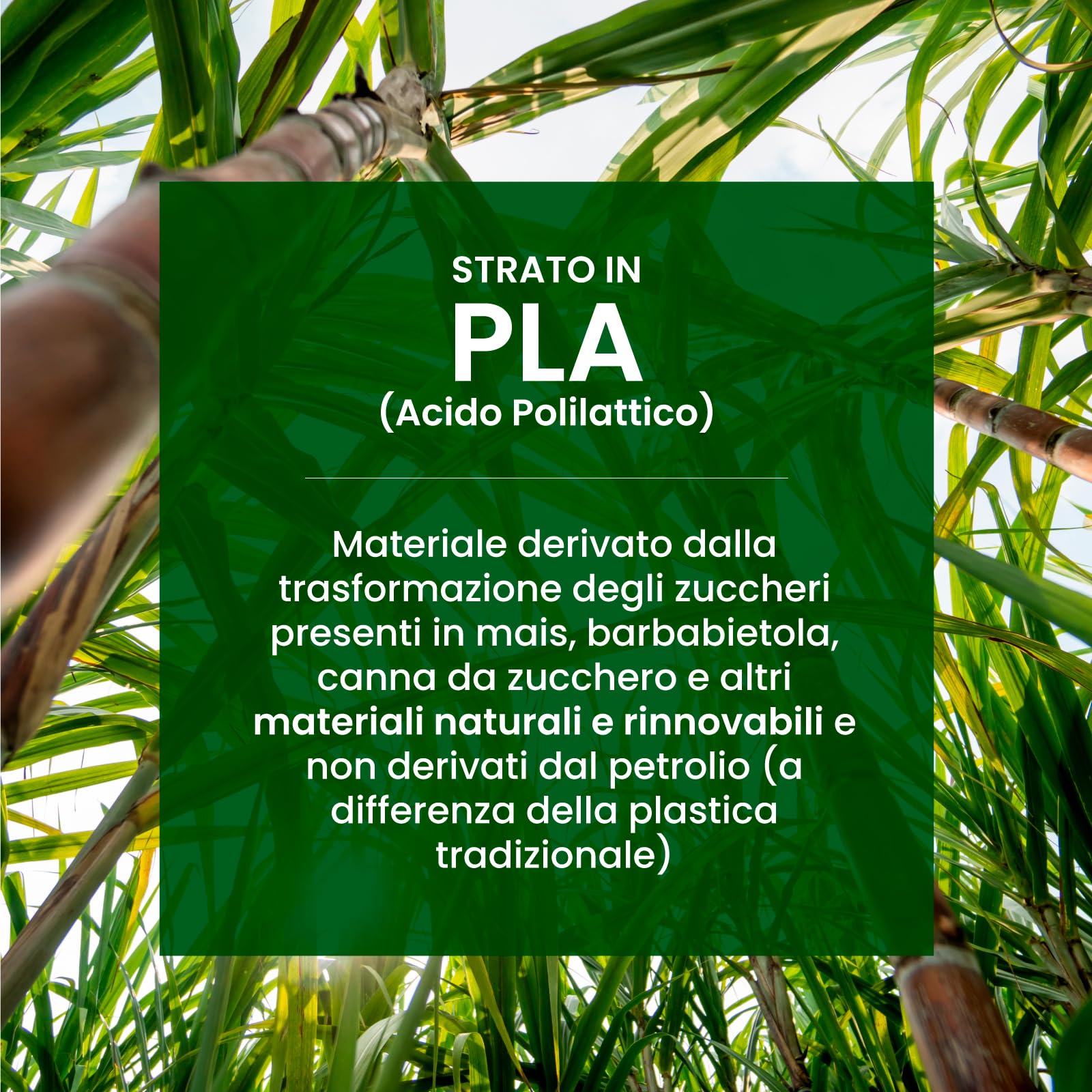 200 Piatti in Bioplastica Monouso 100% Ecologici - Diametro 21 cm - Ultra Resistenti e Rigidi in Bioplastica (PLA) - Biodegradabili e Compostabili - Perfetti per Picnic, Barbecue e Feste – Bianco