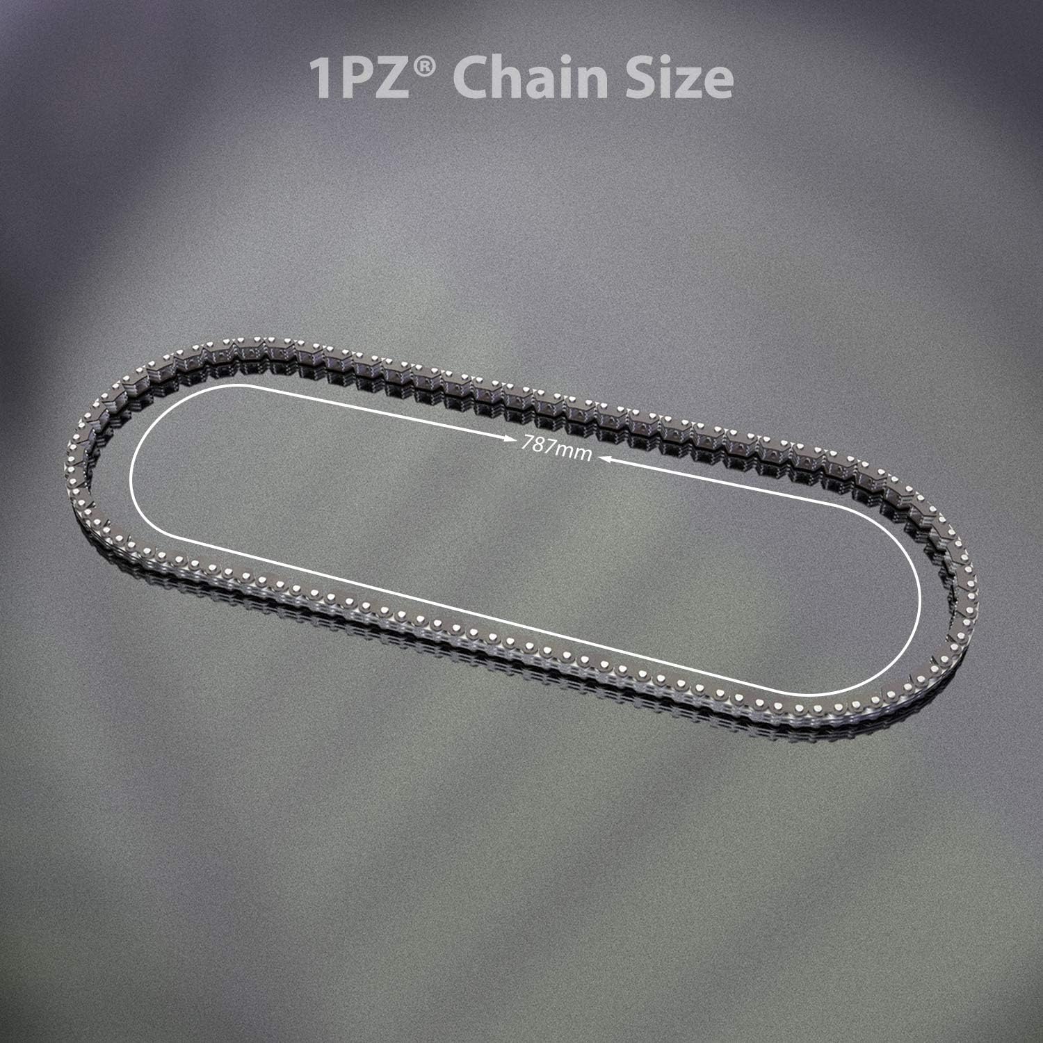 1PZ LT4-CH1 Cam Timing Chain for Suzuki QuadSport LTZ400 LTZ-400 Z400 400 DR-Z400 2003 2004 2005 2006 2007 2008 2009 2011 2012 2013 2014 2015 2016 2017 2018 2019 OEM 12760-29F01