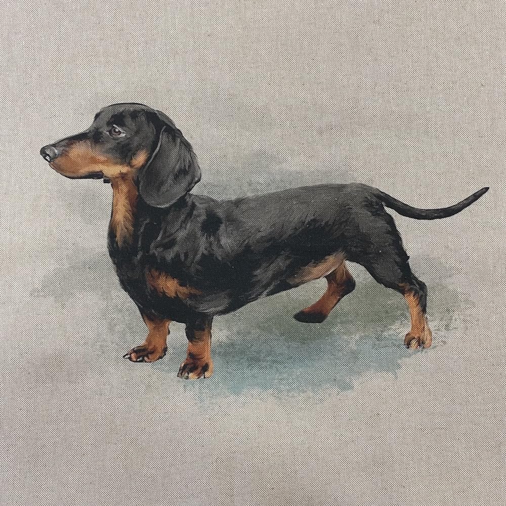 Linen Look Digital Print Fabric Panel 18" Square 45cm - Per Panel (Daschund)