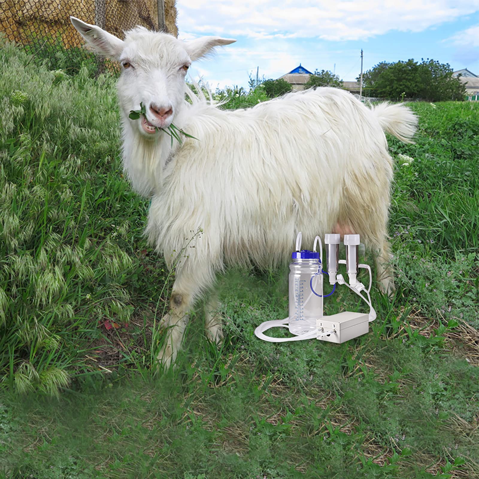 2L Milking Machine Electric Goat Milking Machine Strong Double Motor Vacuum Pump Milking Machine with Cleaning Brush and Pulse Tester for Cow Order Goat EU