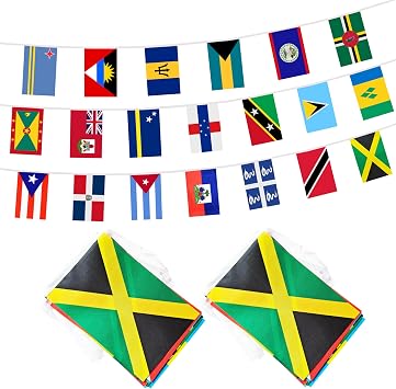Caribbean 20 Countries Banner Flag String, 20 International Country Mini Flag Small Banner for Classroom, Party, Shops and Bars Decorations, Outdoor Decorations, Indoor Decorations 2 Pack