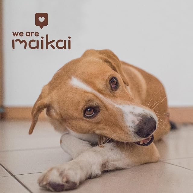 Foto 7 de 7 de MAIKAI Asta de Ciervo para Perros Talla M Mordedores Naturales Resistentes
