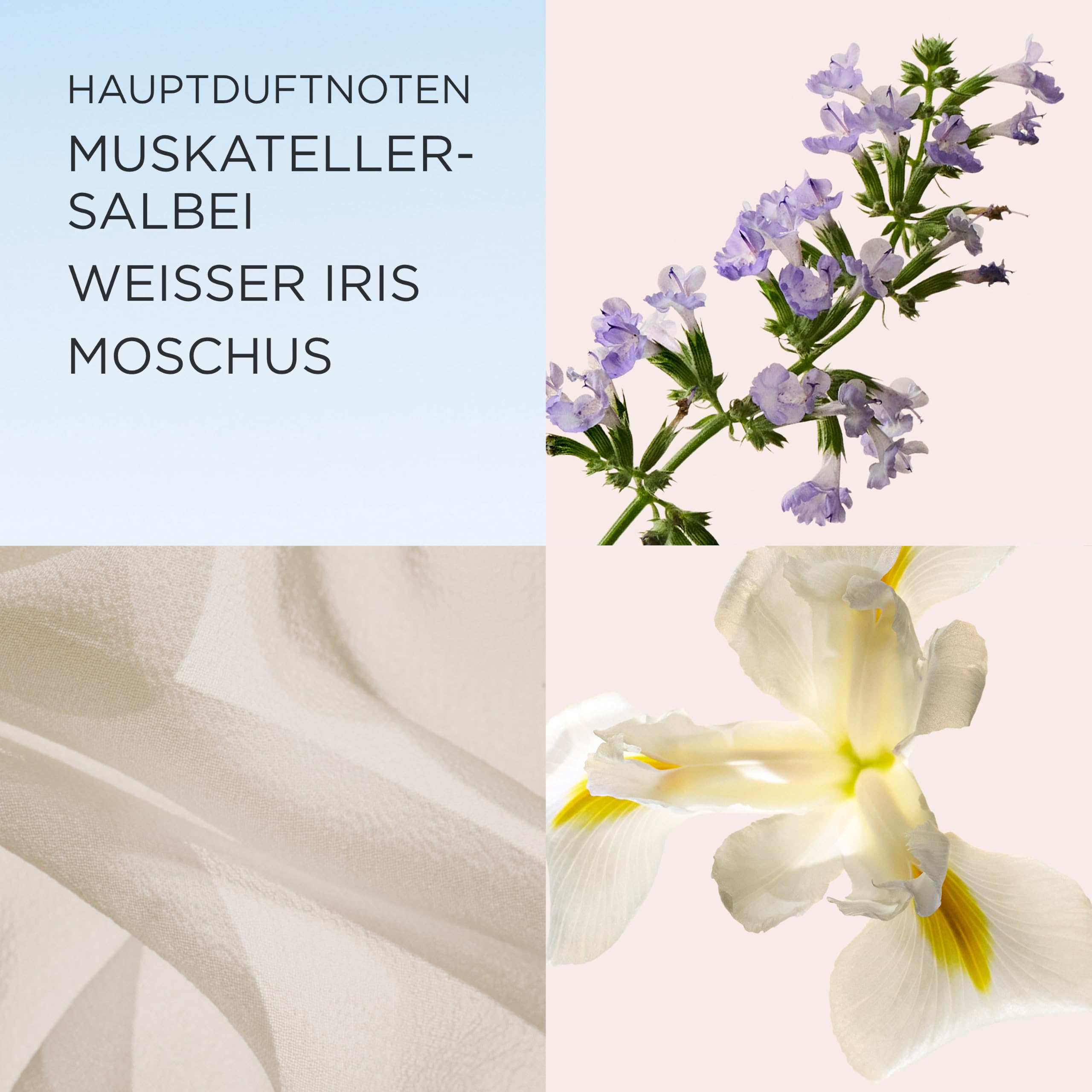 Elizabeth Arden - White Tea, Eau de Toilette Spray, Parfüm mit italienischer Mandarine, Weißer Tee-Extrakt und Madrasholz, blumig, feminin und süß, weiche Wärme, Parfüm für Damen - 100 ml