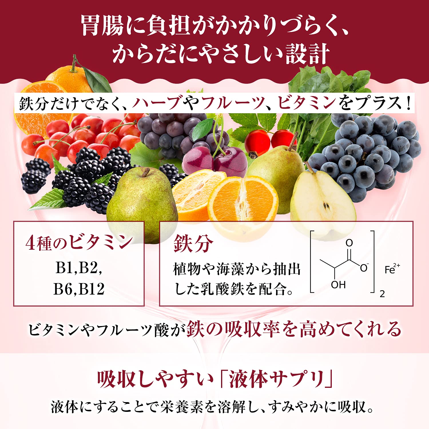 Amazon | [日本オリジナル配合] Floradix 500ml / フローラディクス 鉄