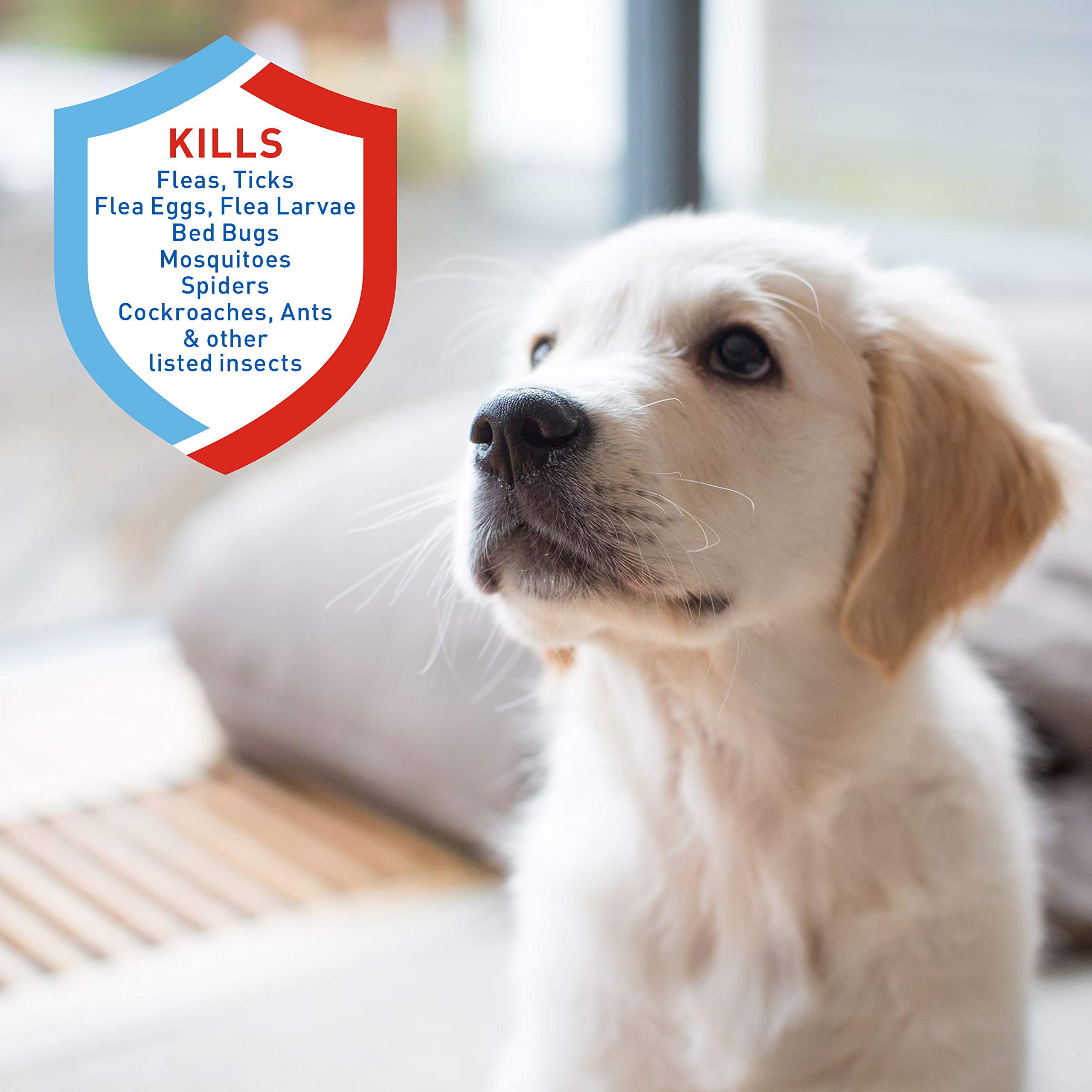 Buy Adams Flea & Tick Home Spray, Kills Fleas, Flea Eggs, Flea Larvae