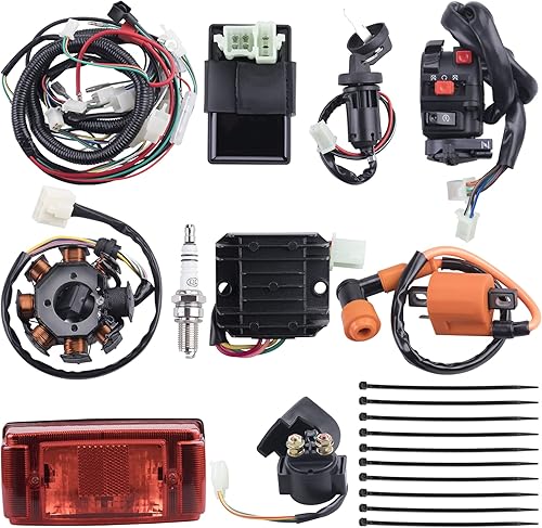 Arnés de cableado eléctrico completo, bobina de estator, relé solenoide CDI, bujía, luz trasera para 4 ruedas, ATV (150cc 200cc 250cc 300cc) Pit