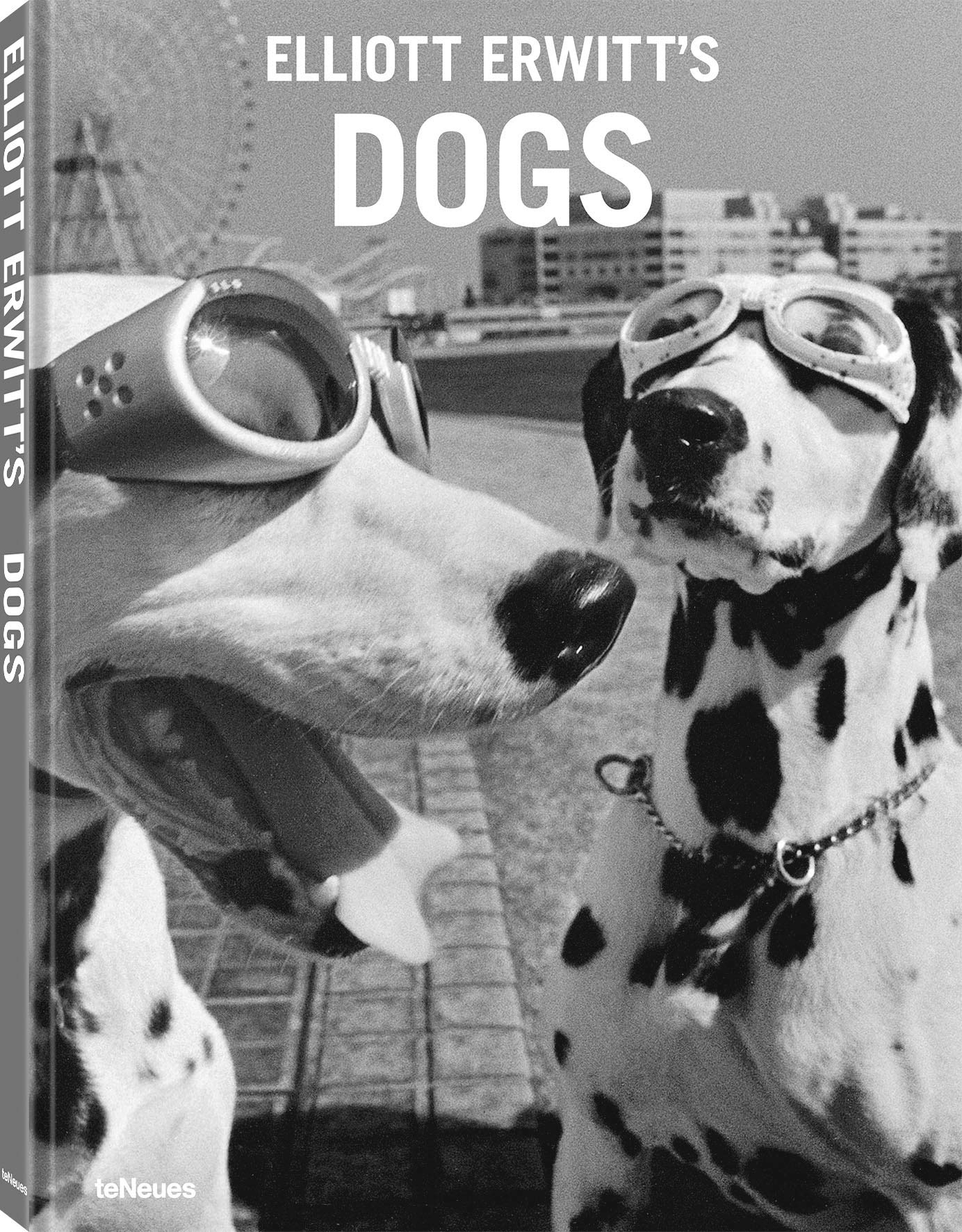 Dogs