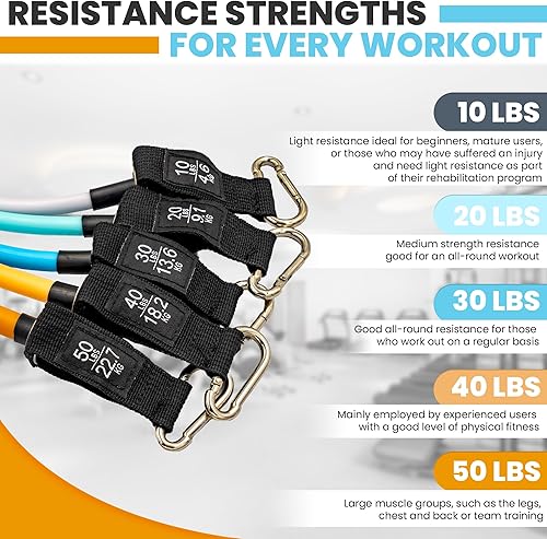 Miniatura 2 de JENNUINE FITNESS Bandas de resistencia para entrenar con asas. Bandas de ejercicio para hombres y mujeres entrenamiento de fuerza, estiramiento y