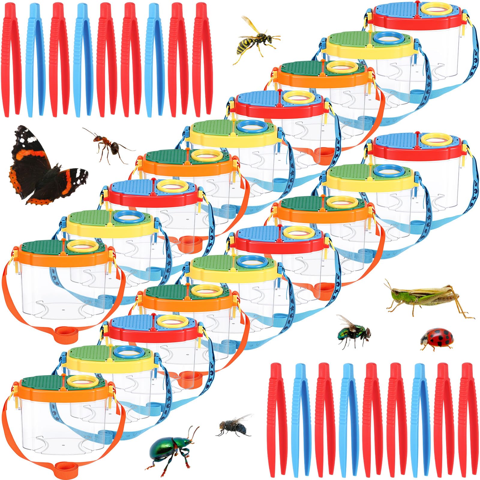 Halloscume 18 pz Bug Viewer per studenti Visore Critter Insetto Cage Bug Pinzette Ingrandimento Scatola Insetto Magnifier Container Butterfly Catcher Gabbia, Scienza Natura Strumenti di esplorazione