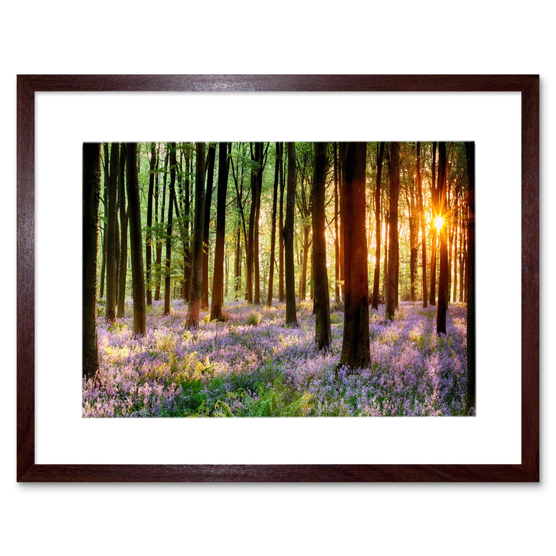 Wee Blue Coo Bluebell Wood Sunrise Trees Photo Framed Wall Art Print