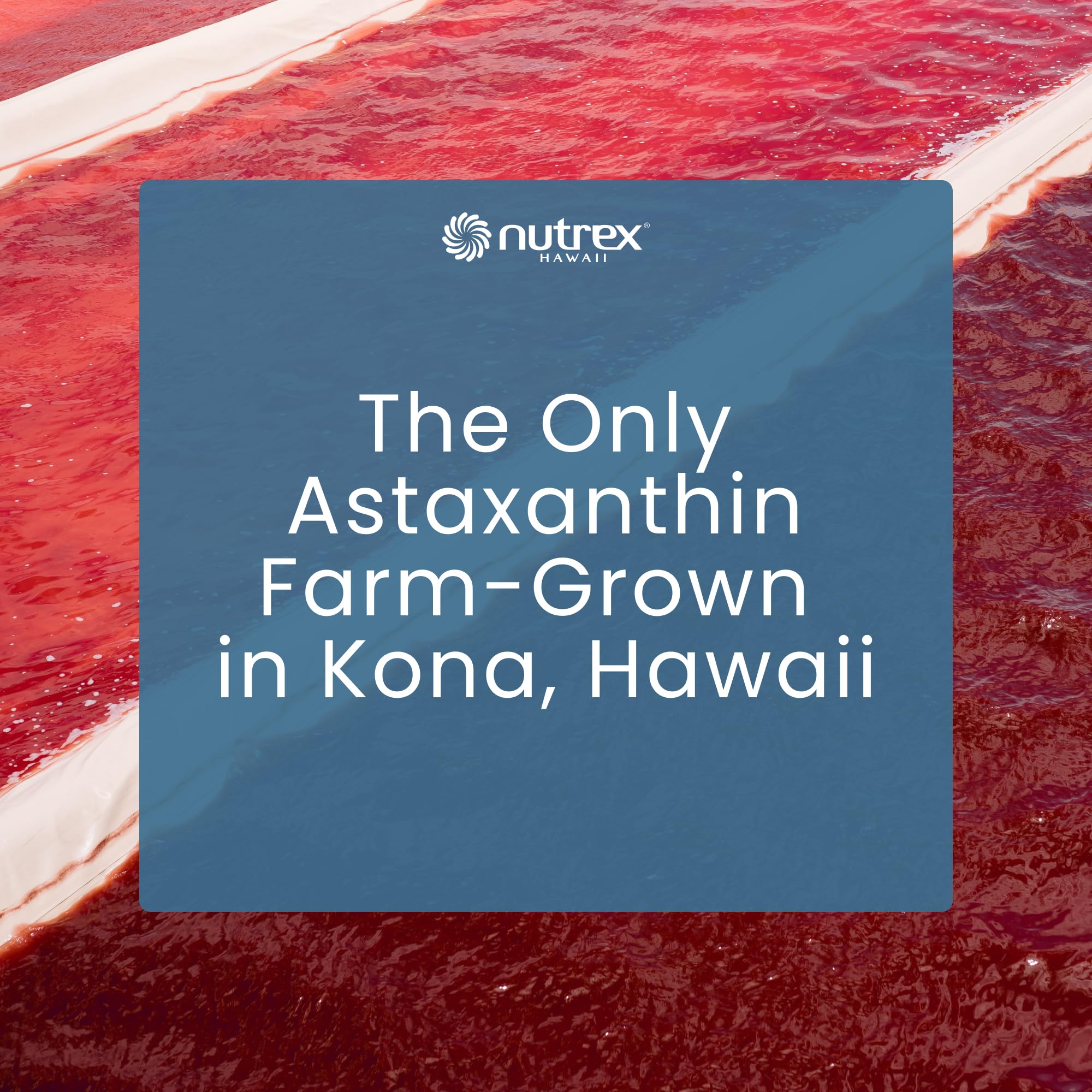 Nutrex Hawaii BioAstin Hawaiian Astaxanthin, 4mg, 60 Softgels — Amazon image 8