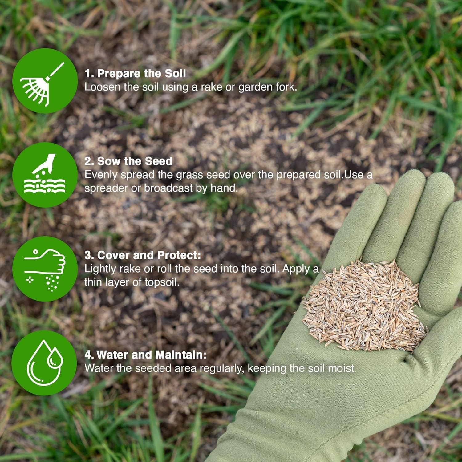 GroundMaster Semences de Gazon Pousse Ultra Rapide 5 kg 150 m² Résistant à la Sécheresse