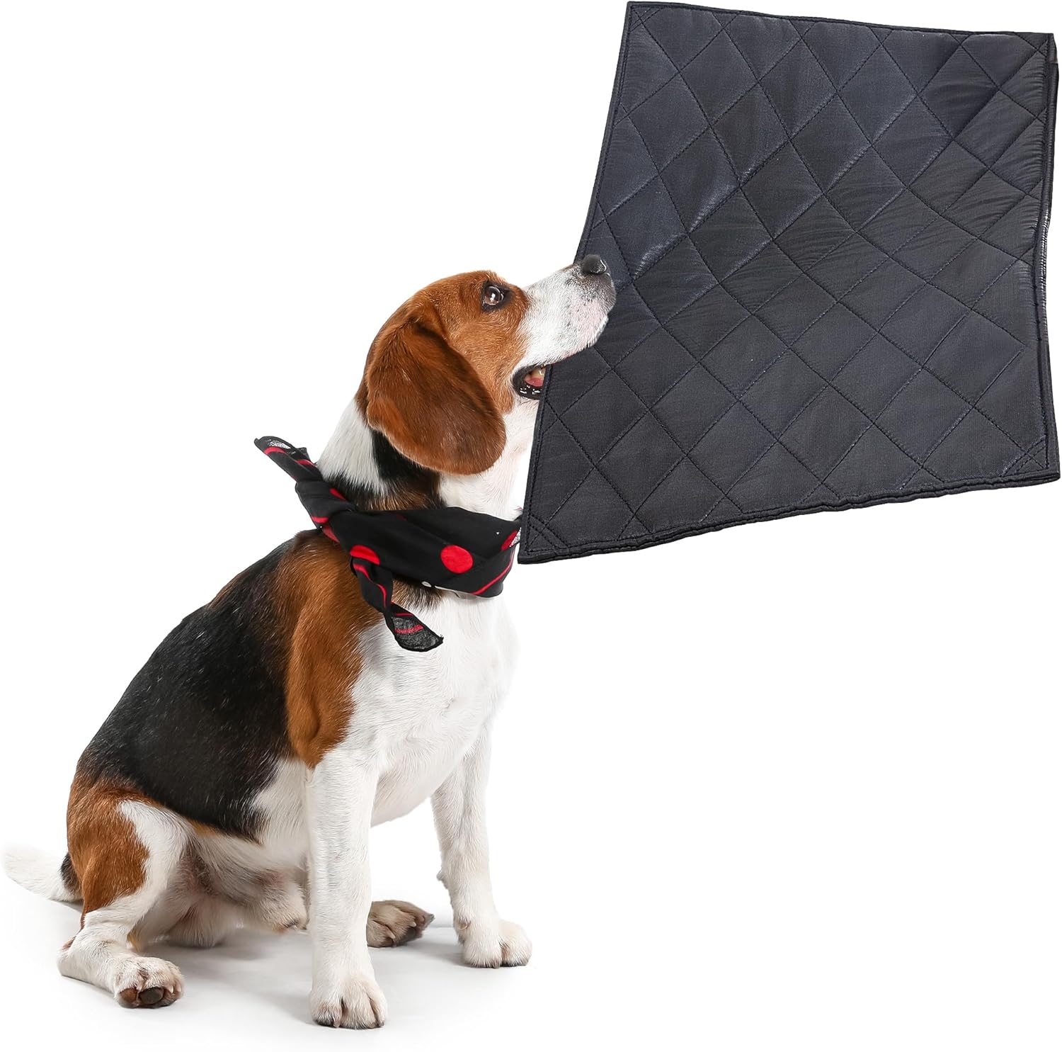 ROYALAY Chew Proof Dog Crate Pad Mat28x41 inches More