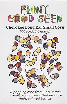 Plant Good Seed Organic Cherokee Long Ear Popcorn Seeds 100 Count | Cherokee Heirloom Popcorn, Rainbow Miniature Ears, Excellent Popping Quality, Beautiful Autumn Decor, Open-Pollinated