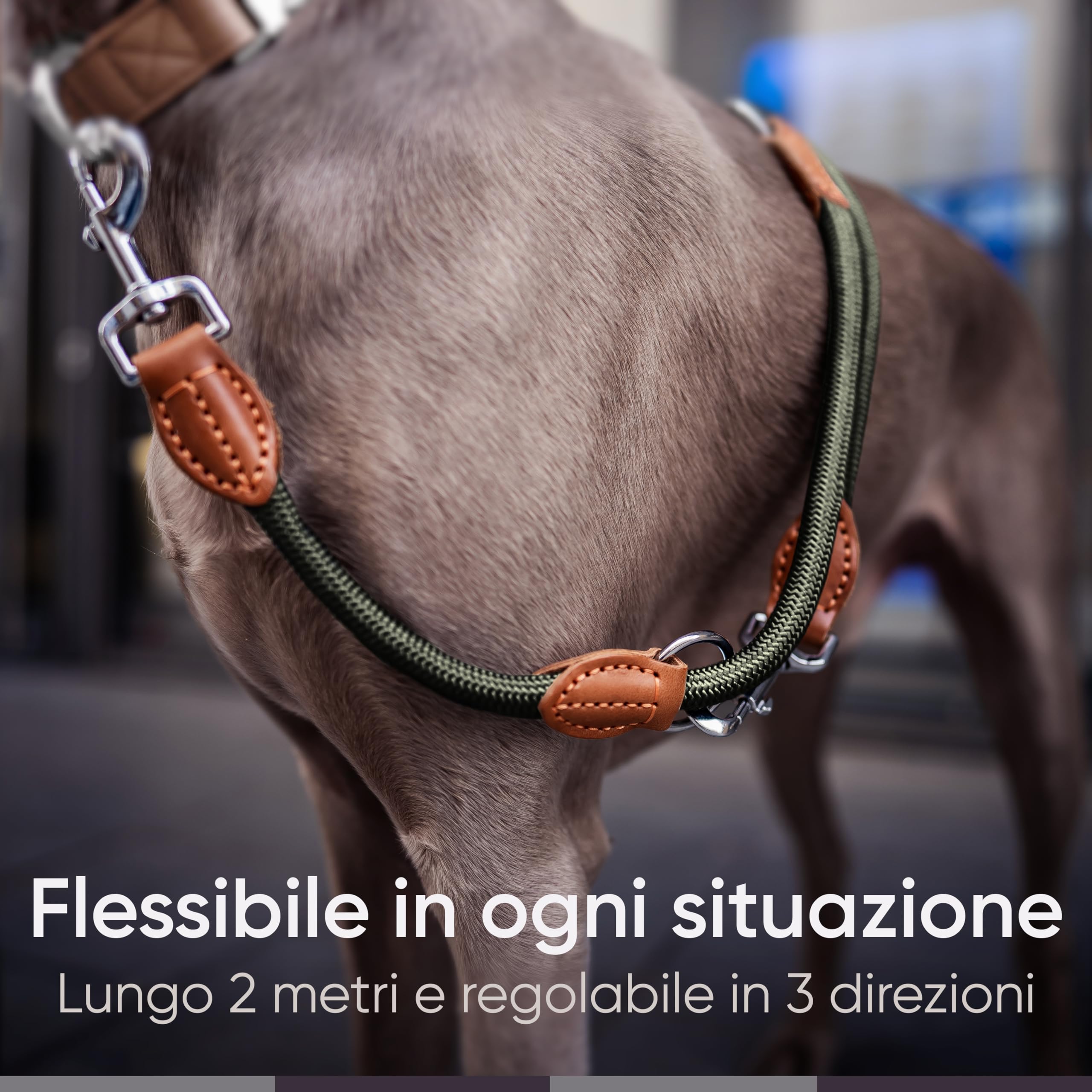 FREUDENTIER Guinzaglio per cani 2m - Guinzaglio regolabile - Robusto nylon rifinito con eleganti elementi in pelle marrone - Guinzaglio per cani di taglia media e grande (verde bosco)