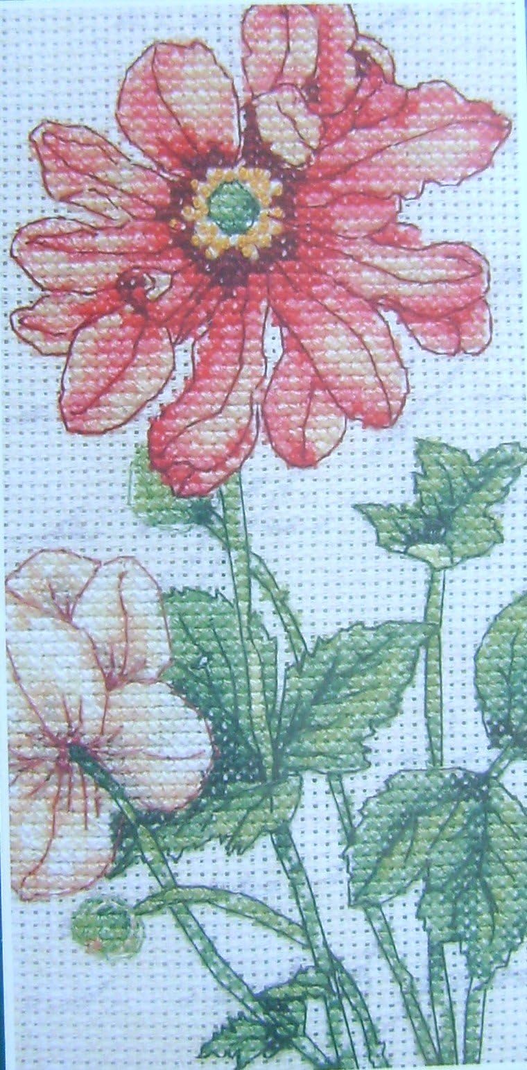 Counted Cross Stitch Kit 16 x 8cm Anemone japonica - contains aida fabric, with printed script background, embroidery thread, chart, needle & full instructions