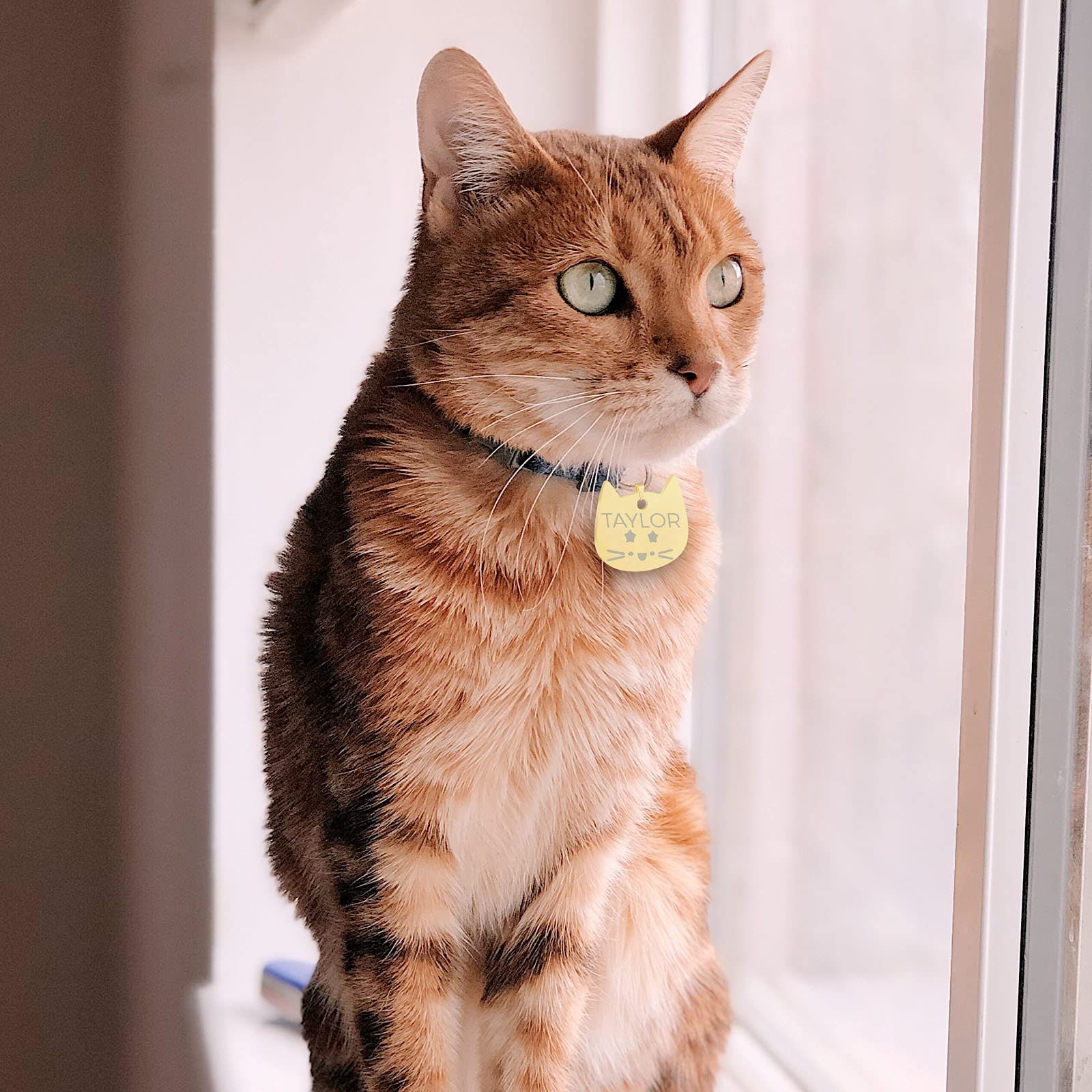 Uiopa 2pcs Medaille Chat avec Gravure, Acier Inoxydable Medaille Chien avec Gravure, Tête de Chat Medaille pour Chien Personnalisé Porte-adresse pour Colliers pour Chiens et Chats (Argent, Petit)