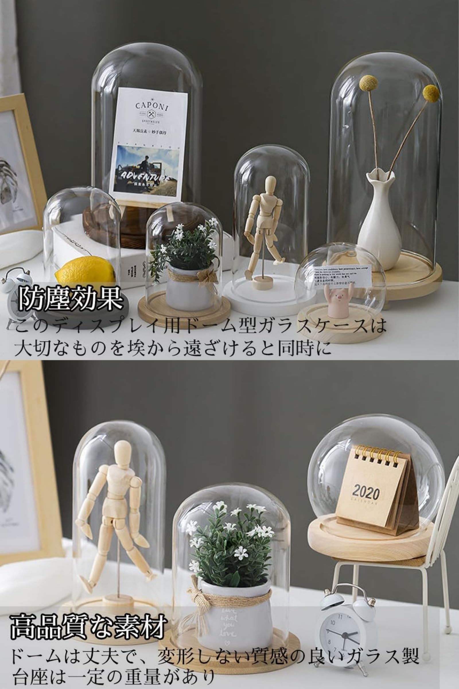 ガラスドーム ディスプレイケース 木製台座 | MEINE-HAUTAERZTIN.DE