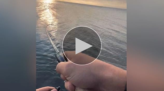 ロッド tailwalk MUD SEEN C802M LONGCAST STYLE ロッド tailwalk MUD SEEN C802M LONGCAST STYLE ロッド