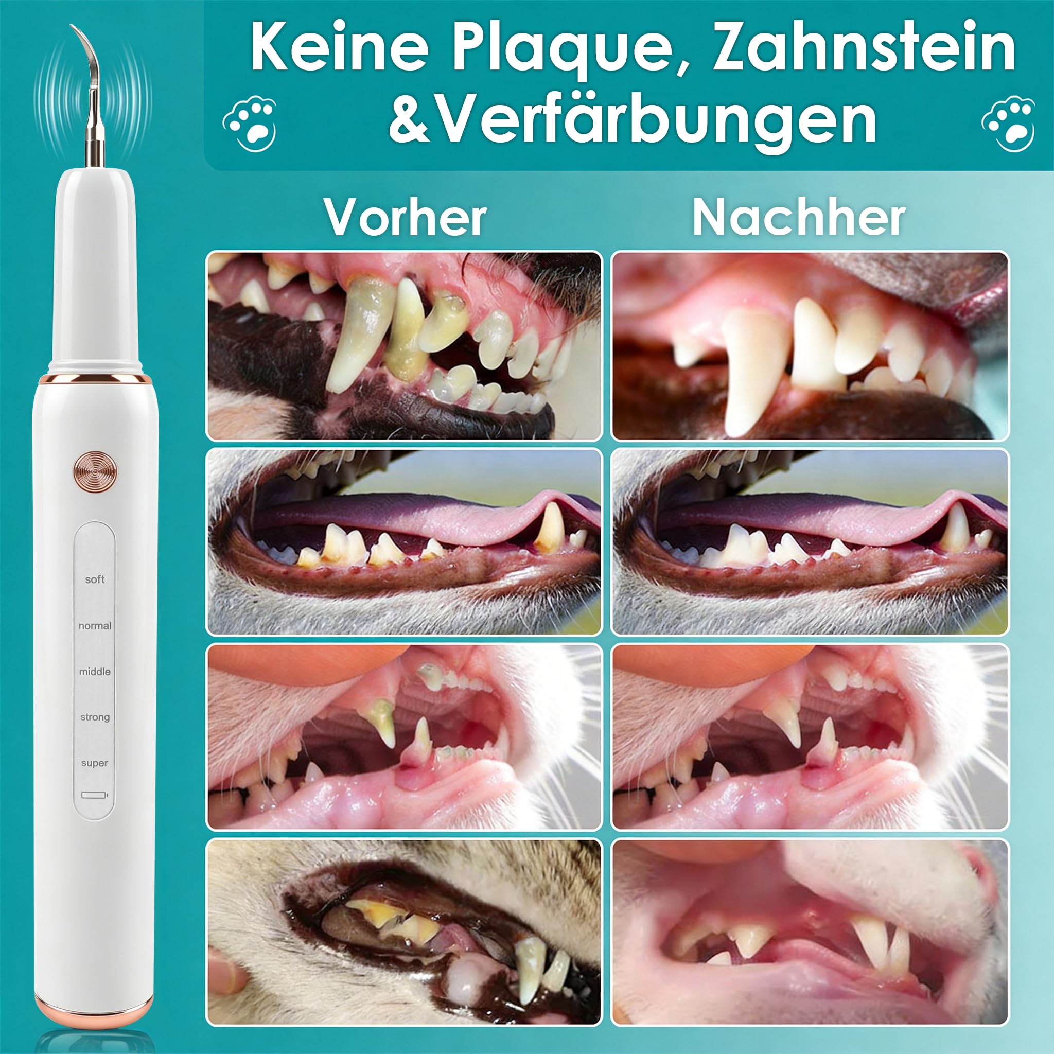 FIVAVA Zahnsteinentferner Hunde, Zahnreinigungsset Ultraschall für Hund, 5 Reinigungsmodi, zur Entfernung von Zahnstein & Zahnbelag, mit LED-Licht, wiederaufladbar