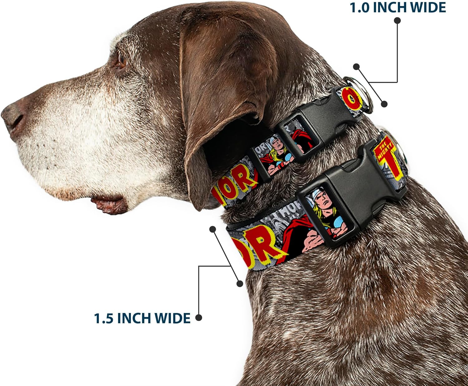 Dog Collar Plastic Clip The Mighty Thor Action Poses 18 to 32 Inches 1.5 Inch Wide