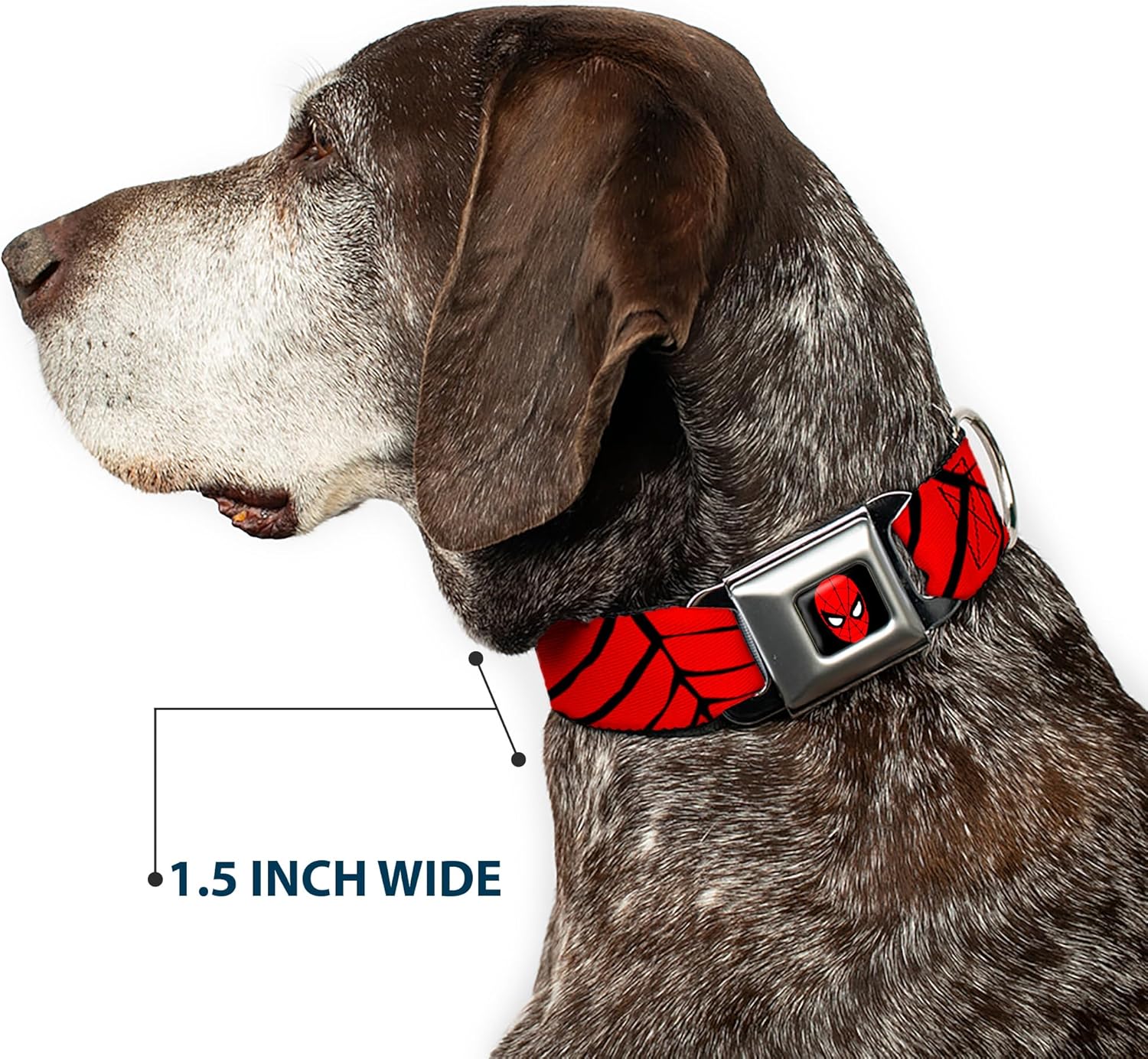 Buckle-Down Seatbelt Buckle Dog Collar - Spiderweb Red/Black - 1.5" Wide - Fits 18-32" Neck - Large
