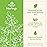 ORGANIC INDIA Moringa Capsules Organic - Moringa Supplement - Green Superfood, Pure Supergreen, Vegan Greens, Nature\'s Multivitamin, Vegan, Gluten-Free - 180 Capsules