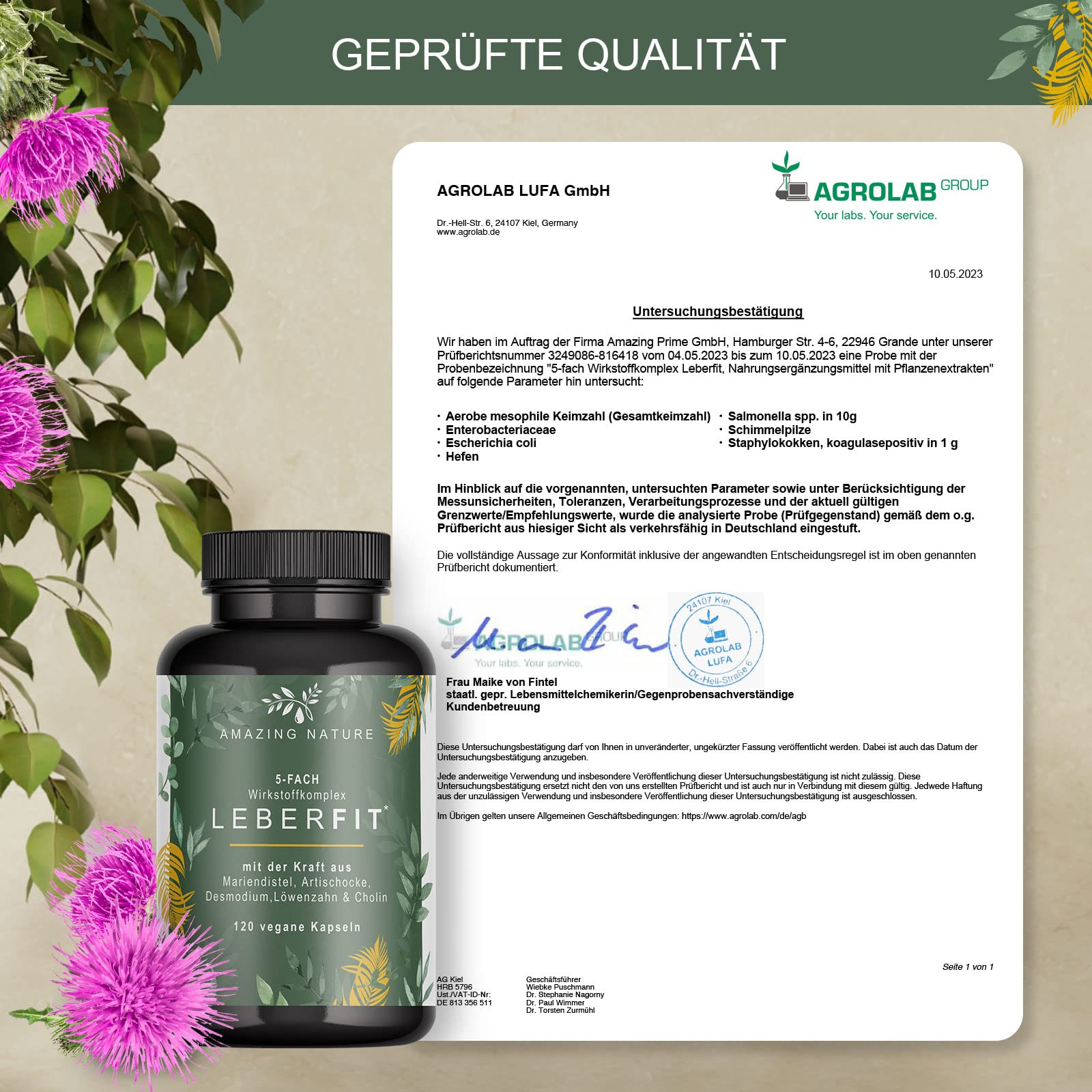 LeberFit Mariendistel Kapseln Hochdosiert 5-Fach Komplex mit Cholin | 80% Silymarin, Cholin & 4 Pflanzenextrakte nur 1 Kapsel täglich, bis zu 4 Monate Vorrat