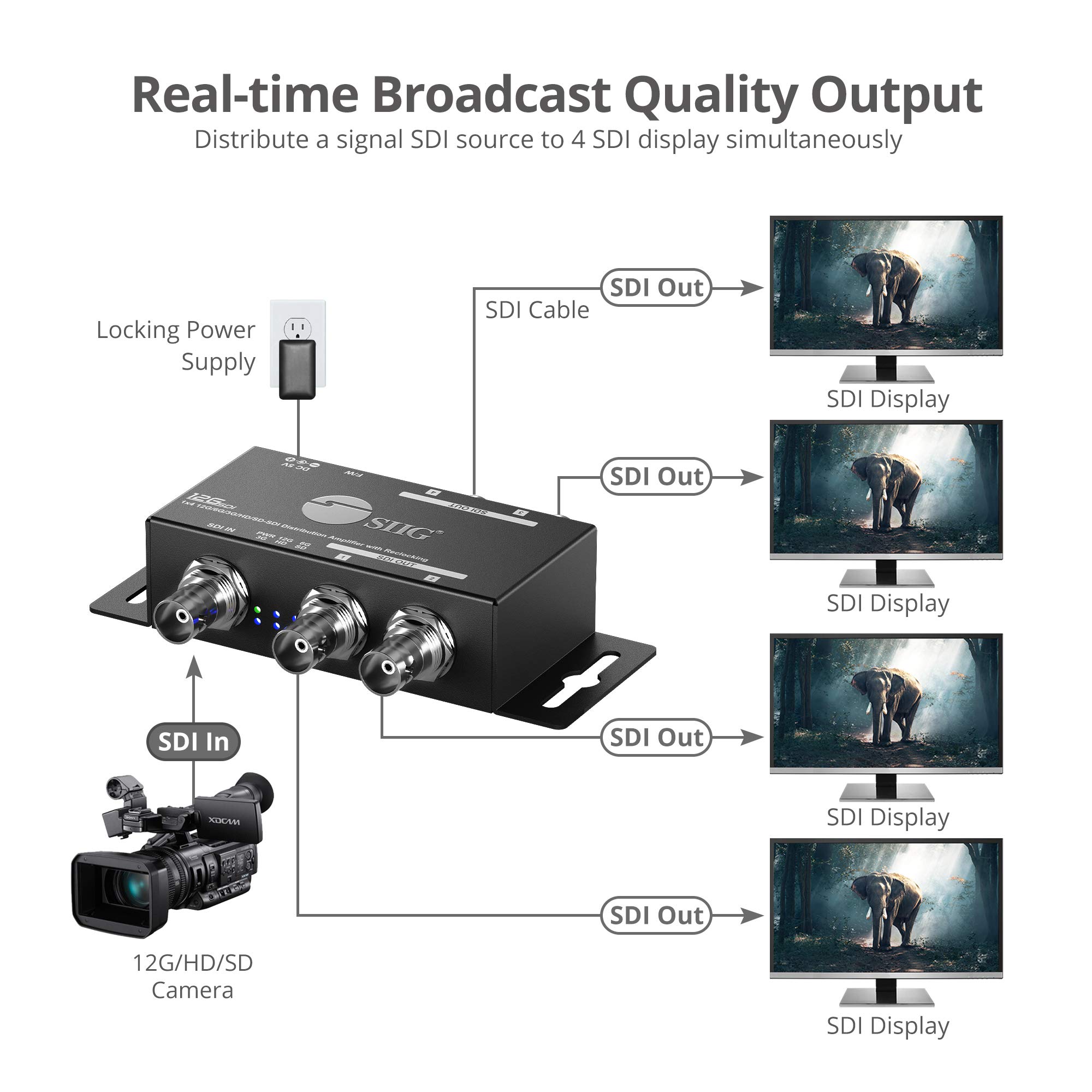 Amazon.com: SIIG 1x4 12G SDI Splitter, Distribution