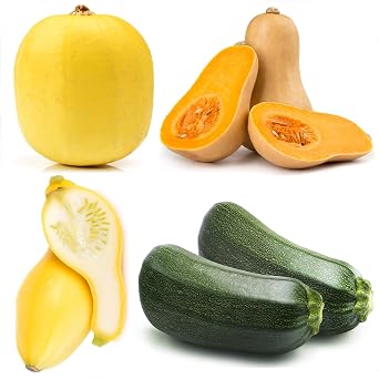 Squash Seeds Variety Pack for Planting 4 Heirloom Non-GMO Varieties Black Beauty Zucchini, Spaghetti, Butternut, Crookneck Easy to Grow Summer & Winter